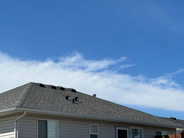 Lakewood Park, TN Roofing Services Company